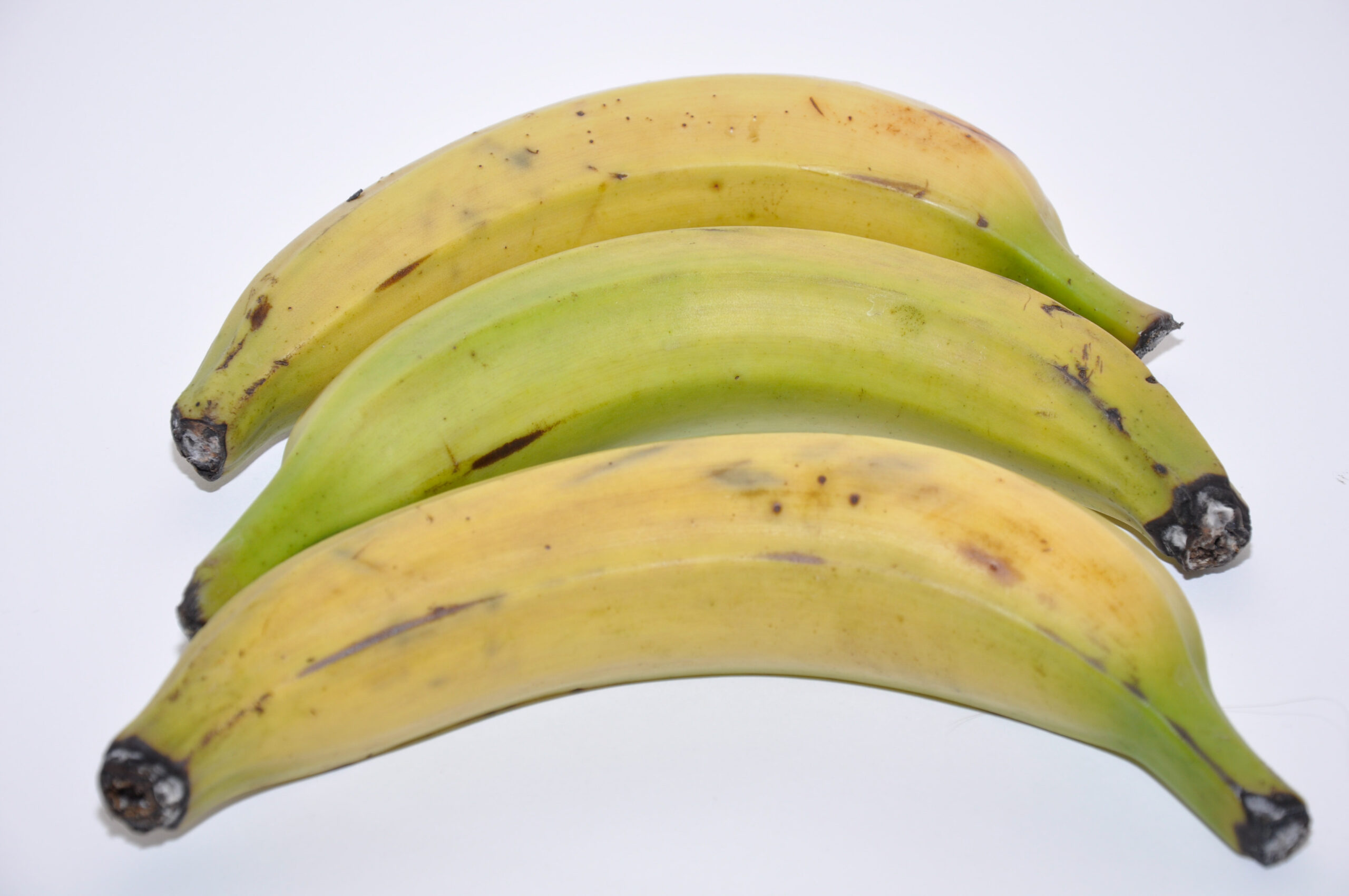 plantain
